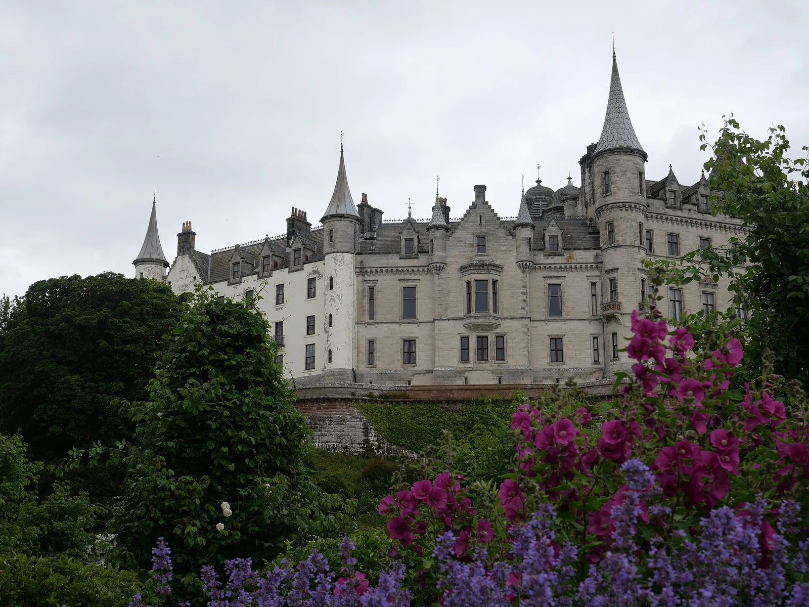De lichte gevel en spitse torens van Dunrobin Castle boven een tuin met paarse bloemen op de voorgrond.